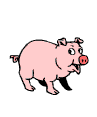 swinia.gif