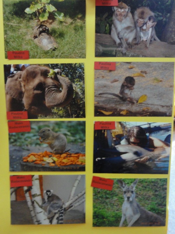 duzy_dsc09992.jpg