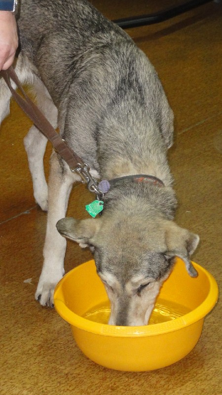 duzy_dsc00004.jpg