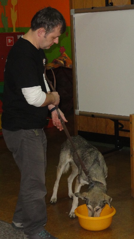 duzy_dsc00005.jpg