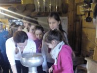 image20170330 102442377