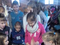 image20170330 103044092