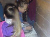 image20170330 103341901