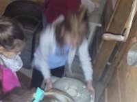 image20170330 103359997