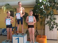 WP 20180313 11 09 04 Pro