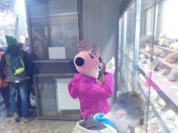 image20170320 113550461