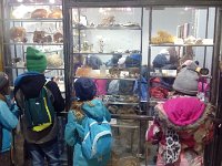 image20170320 113638931